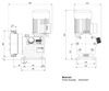 Grundfos DMX 765-3 EPDM Mechanical Diaphragm Dosing Pump with Stainless Steel Valve