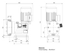 Grundfos DMX 199-8 FKM Mechanical Diaphragm Dosing Pump