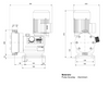 Grundfos DMX 321-6 FKM Mechanical Diaphragm Dosing Pump